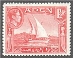 Aden Scott 19 Mint